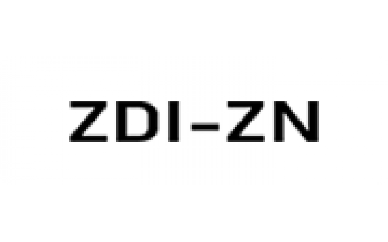 ZDI-ZN
